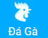 bongbet